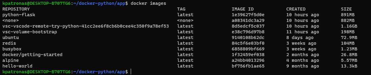 Dockerize a Python application, work with containers.